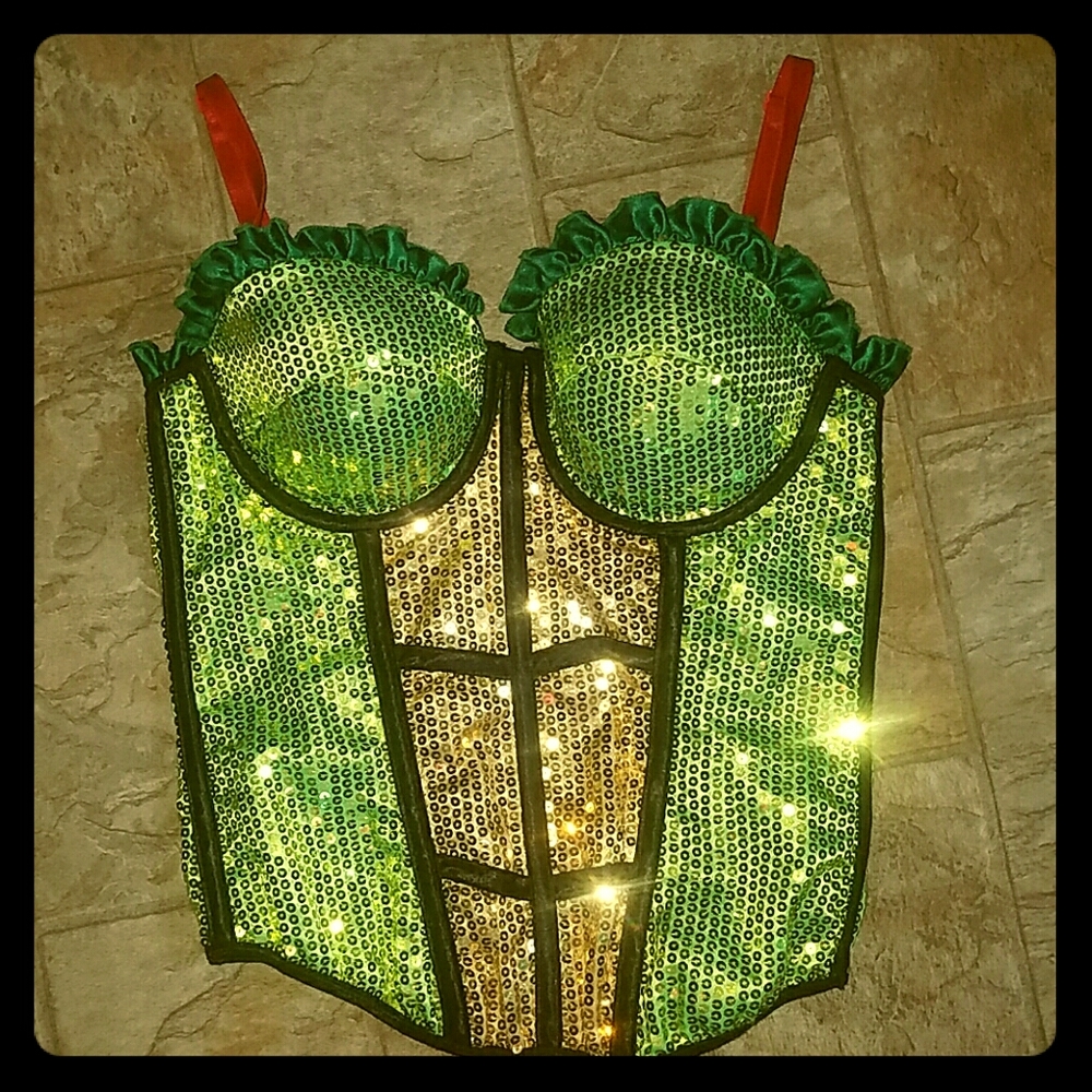 Raphael TMNT Corset